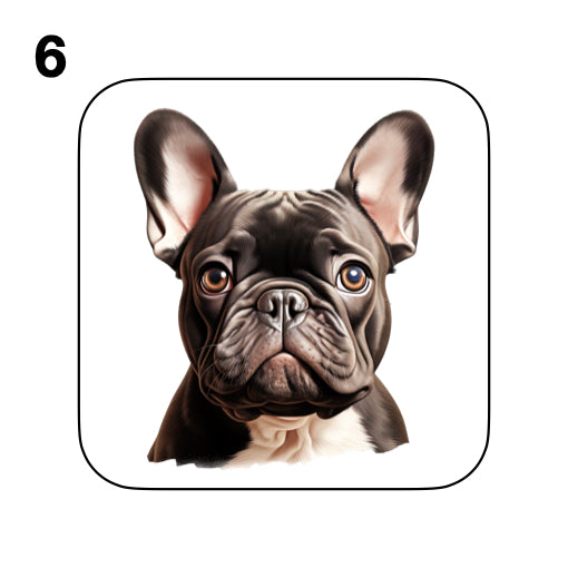 Coasters - 52x different images of French Bulldog breed