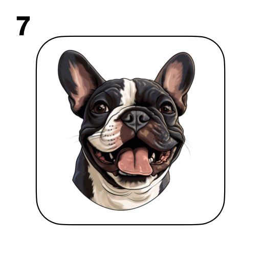 Coasters - 52x different images of French Bulldog breed