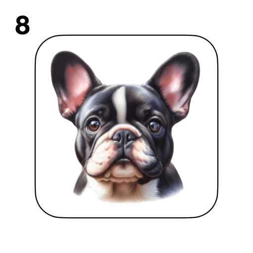 Coasters - 52x different images of French Bulldog breed