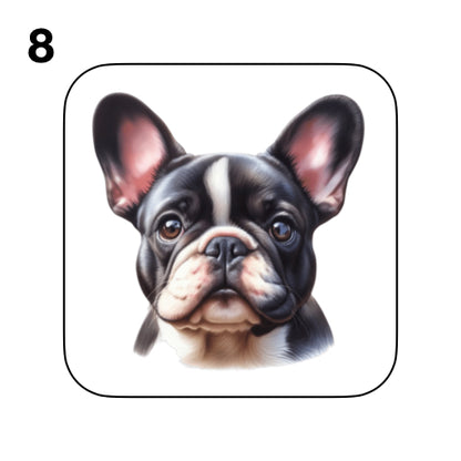 Coasters - 52x different images of French Bulldog breed