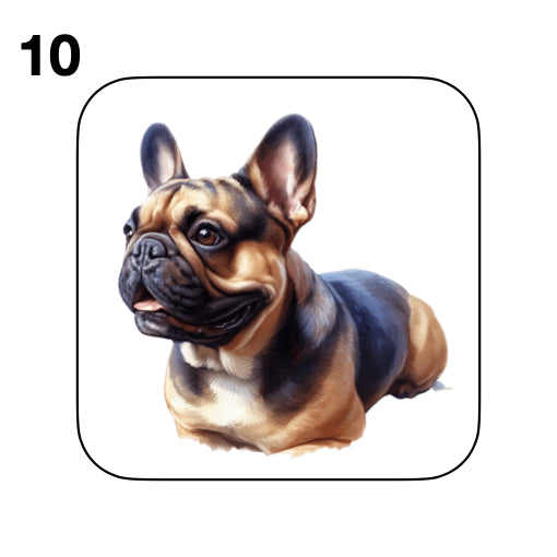 Coasters - 52x different images of French Bulldog breed