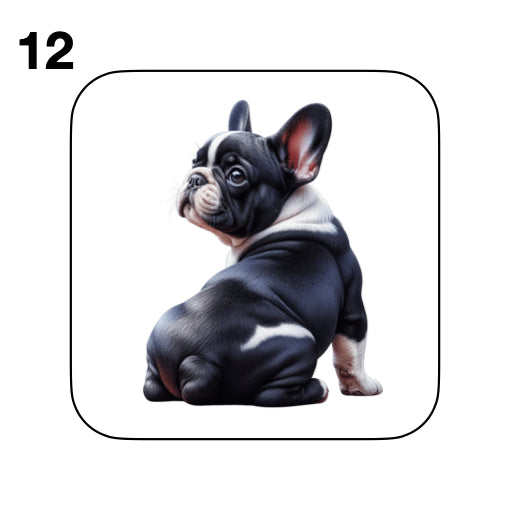 Coasters - 52x different images of French Bulldog breed