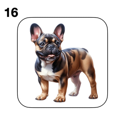 Coasters - 52x different images of French Bulldog breed