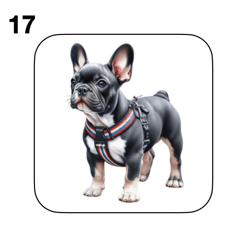Coasters - 52x different images of French Bulldog breed