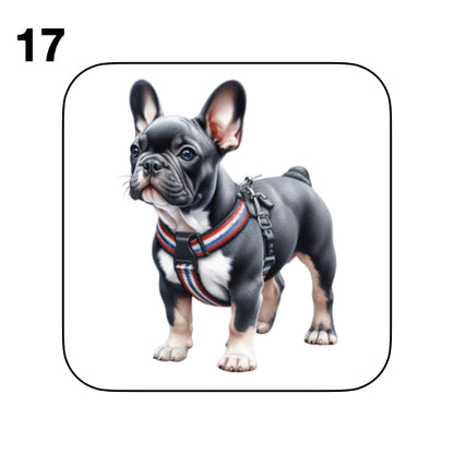 Coasters - 52x different images of French Bulldog breed