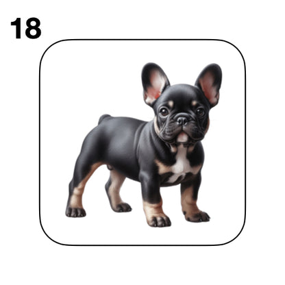 Coasters - 52x different images of French Bulldog breed