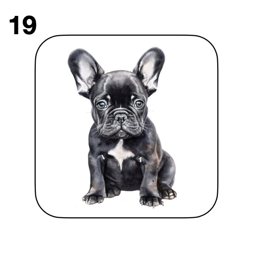 Coasters - 52x different images of French Bulldog breed