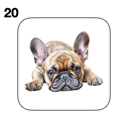Coasters - 52x different images of French Bulldog breed
