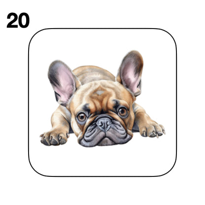 Coasters - 52x different images of French Bulldog breed