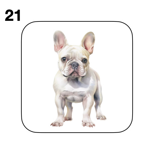 Coasters - 52x different images of French Bulldog breed