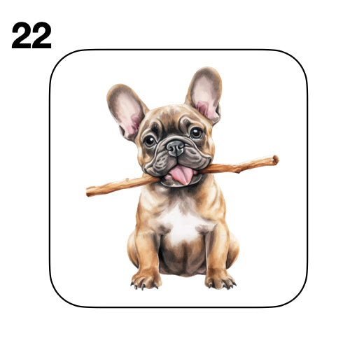 Coasters - 52x different images of French Bulldog breed