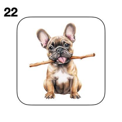 Coasters - 52x different images of French Bulldog breed