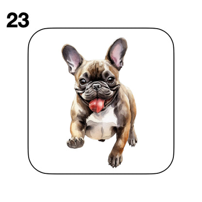 Coasters - 52x different images of French Bulldog breed