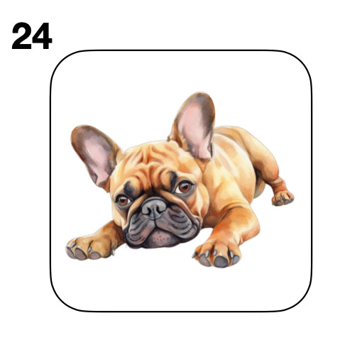 Coasters - 52x different images of French Bulldog breed