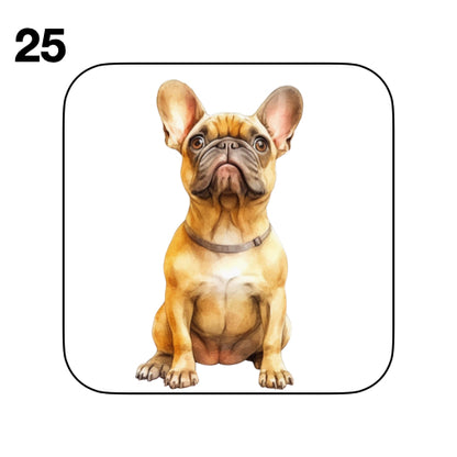 Coasters - 52x different images of French Bulldog breed