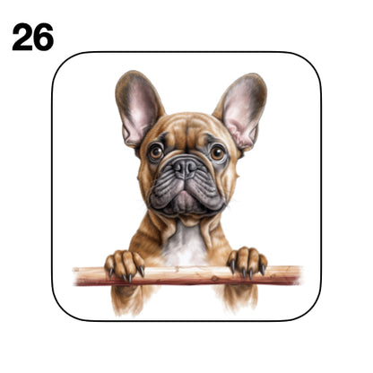 Coasters - 52x different images of French Bulldog breed
