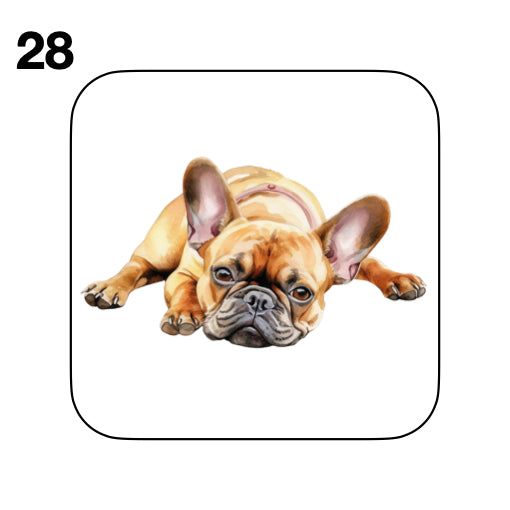 Coasters - 52x different images of French Bulldog breed