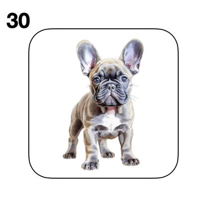 Coasters - 52x different images of French Bulldog breed