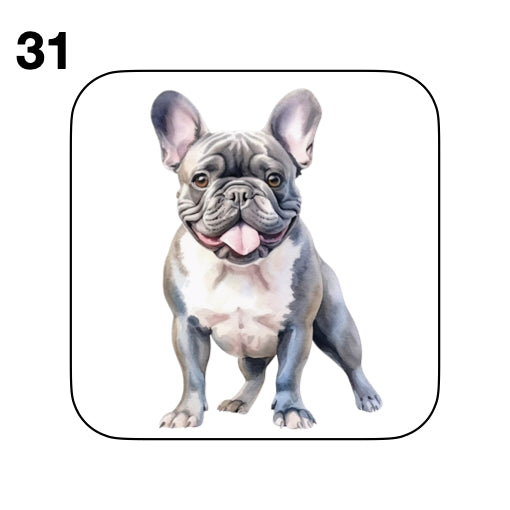 Coasters - 52x different images of French Bulldog breed