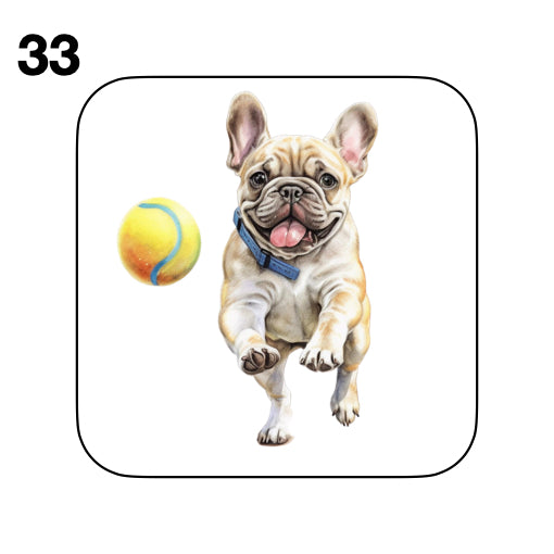 Coasters - 52x different images of French Bulldog breed