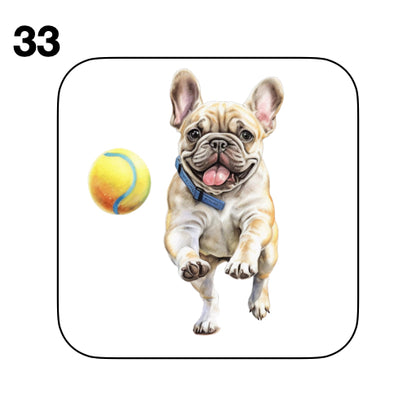 Coasters - 52x different images of French Bulldog breed