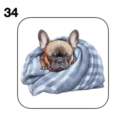 Coasters - 52x different images of French Bulldog breed