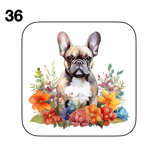 Coasters - 52x different images of French Bulldog breed
