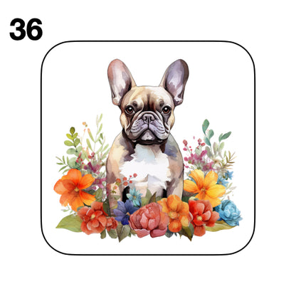 Coasters - 52x different images of French Bulldog breed