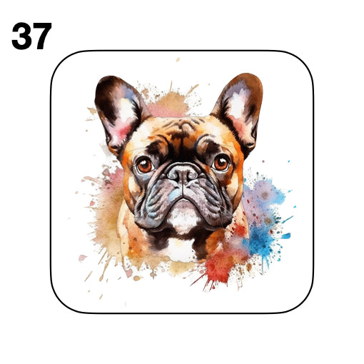 Coasters - 52x different images of French Bulldog breed