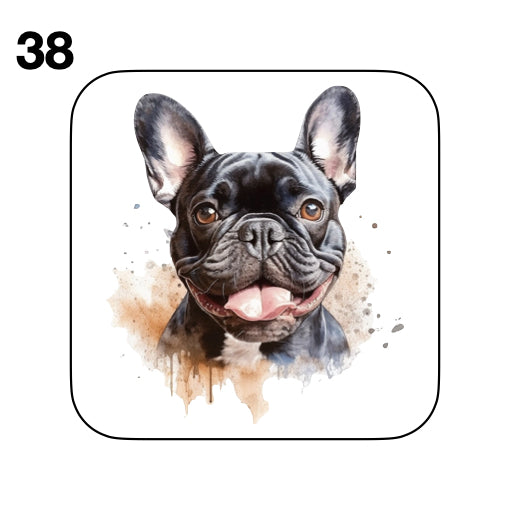 Coasters - 52x different images of French Bulldog breed