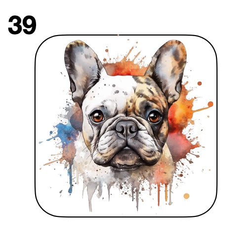 Coasters - 52x different images of French Bulldog breed