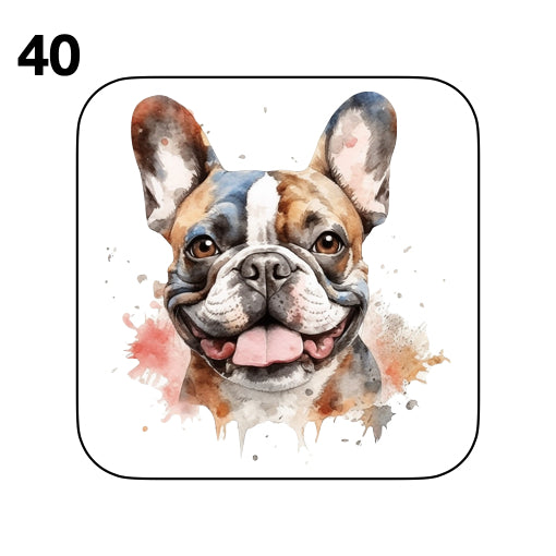 Coasters - 52x different images of French Bulldog breed