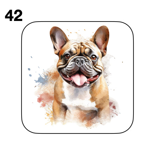 Coasters - 52x different images of French Bulldog breed