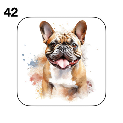 Coasters - 52x different images of French Bulldog breed