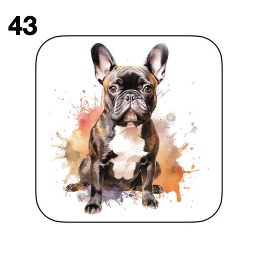 Coasters - 52x different images of French Bulldog breed