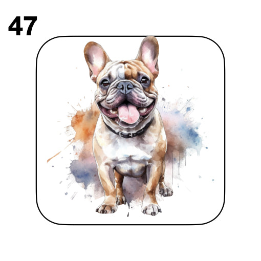 Coasters - 52x different images of French Bulldog breed