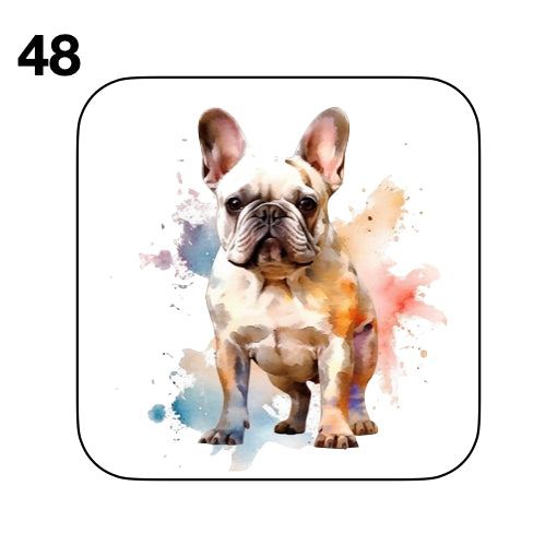 Coasters - 52x different images of French Bulldog breed
