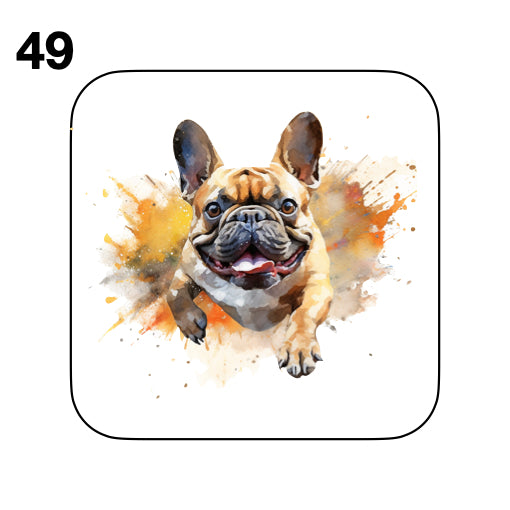 Coasters - 52x different images of French Bulldog breed