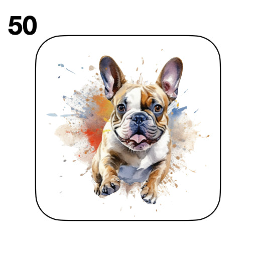 Coasters - 52x different images of French Bulldog breed