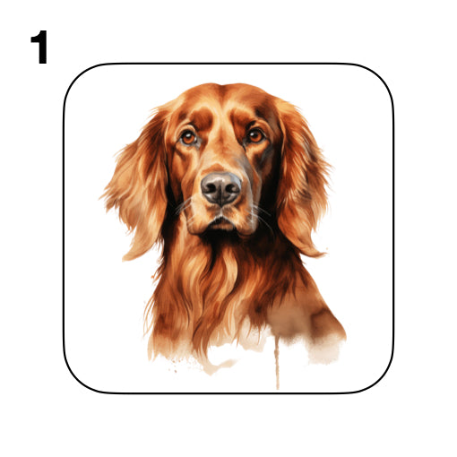 Coasters - 13x different images of Irish Red Setter dog breed