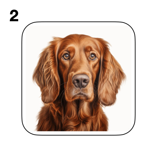 Coasters - 13x different images of Irish Red Setter dog breed
