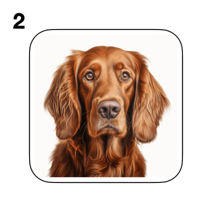 Coasters - 13x different images of Irish Red Setter dog breed