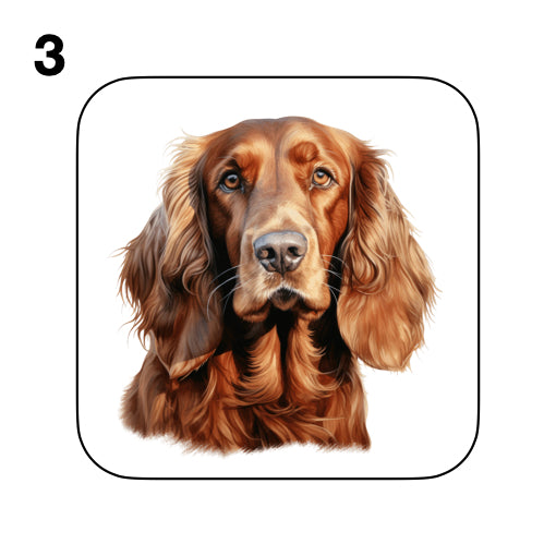Coasters - 13x different images of Irish Red Setter dog breed