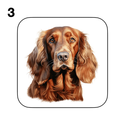 Coasters - 13x different images of Irish Red Setter dog breed