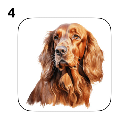 Coasters - 13x different images of Irish Red Setter dog breed
