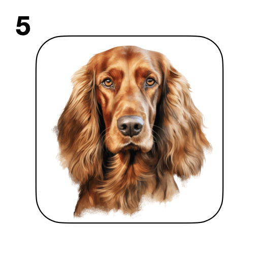 Coasters - 13x different images of Irish Red Setter dog breed