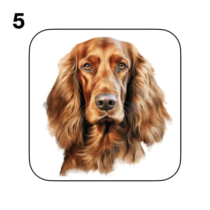 Coasters - 13x different images of Irish Red Setter dog breed