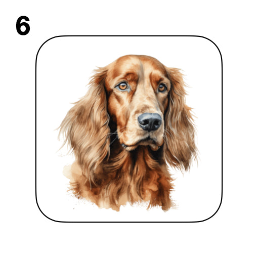Coasters - 13x different images of Irish Red Setter dog breed