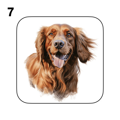 Coasters - 13x different images of Irish Red Setter dog breed