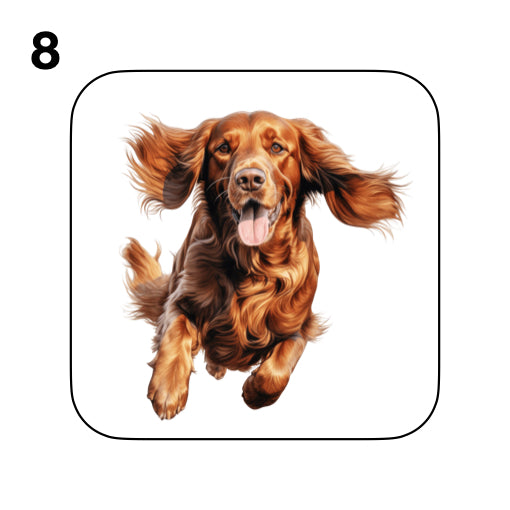 Coasters - 13x different images of Irish Red Setter dog breed